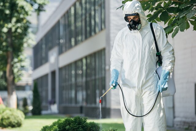 Chemical Pest Control - Servizio di Monitoraggio e Disinfestazione
